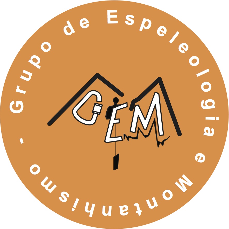 Logo GEM 2007