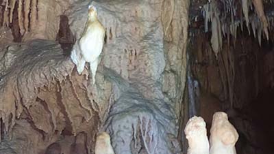 Edição de 26 de Fevereiro de 2022