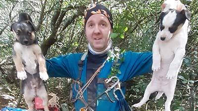 Edição de 2 de Abril de 2022