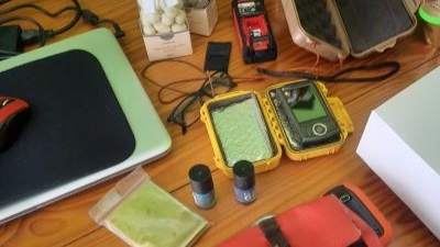 Edição de 16 de Abril de 2022