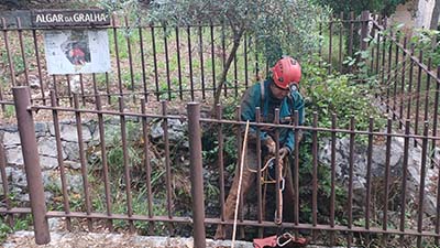 Edição de 29 de Maio de 2022