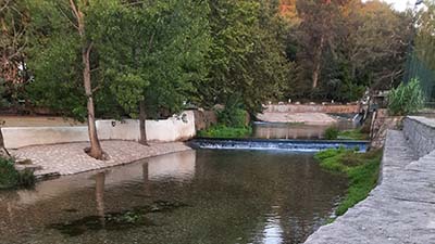 Edição de 9 de Julho de 2022