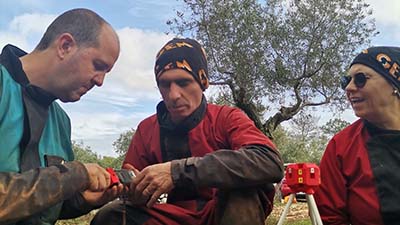 Edição de 22 e 23 de Outubro de 2022