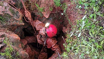 Edição de 19 de Novembro de 2022
