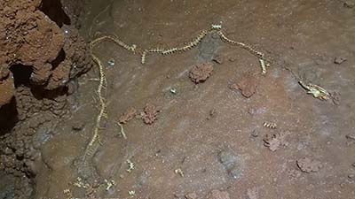 Edição de 18 de Junho de 2022