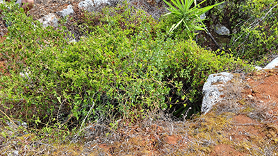 Edição de 10 de Setembro de 2023