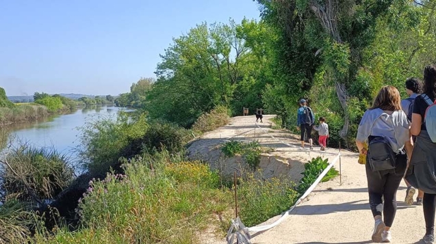 20240421-Pan-IMG20240421095042