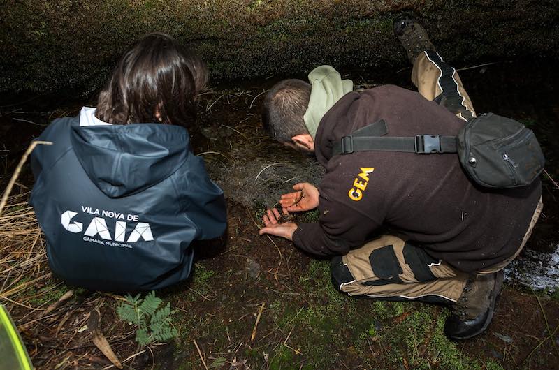 Colaboração com Instituições