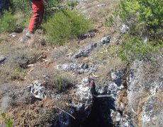 107056591_300820451045560_1892791424363349191_n[1]