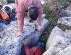 12404366_1068066283224762_1258038933_n[1]