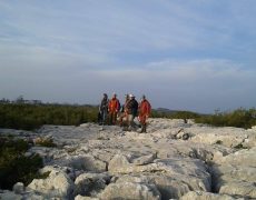 12431555_1068066179891439_103606248_n(1)[1]