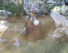 12583950_1082615431769847_171339256_n