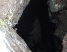 20160211-File0058