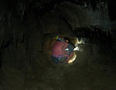 60338953_421001638719716_5755297880772444160_n[1]