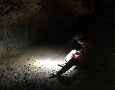 60349721_577043146119165_7130926805615116288_n[1]