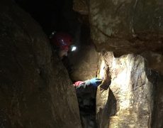 60561164_296976224560510_2600454499881451520_n[1]