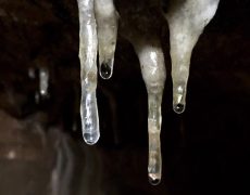 60722277_379068292817040_1183801580730712064_n[2]