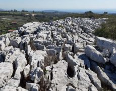 87437471_258553845142189_4735999431583727616_n[1]