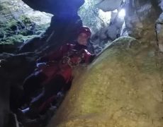 87839164_719899045214319_7955734562816917504_n[2]