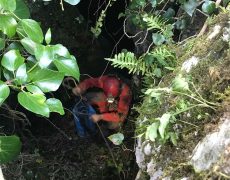 87943959_499245934127668_3900955032148770816_n[1]