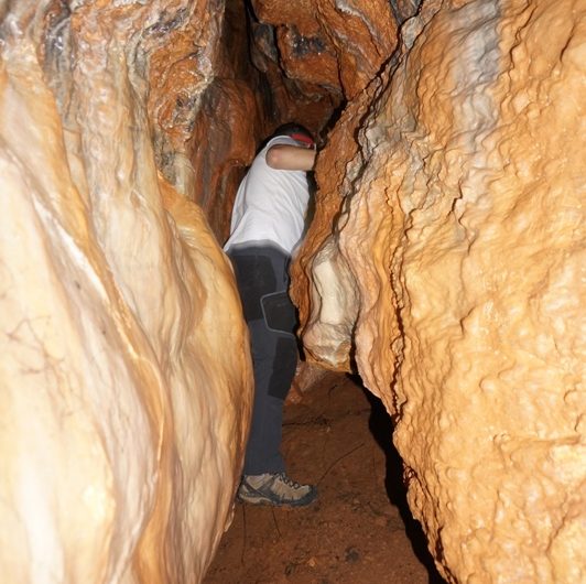 Figura 6 – Foto: Vitor Amendoeira