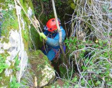 Alecrineiros18_DSC01998