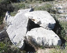 Alecrineiros18_DSCF7425