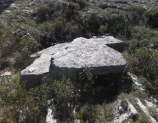 Alecrineiros18_DSCF7426