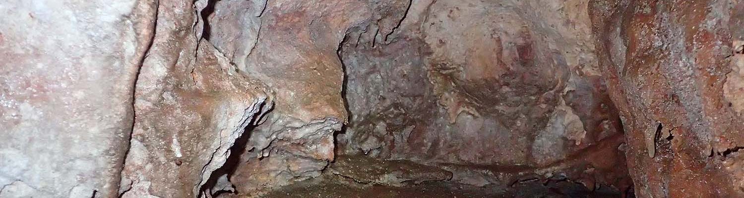 Artigo_Alecrineiros11