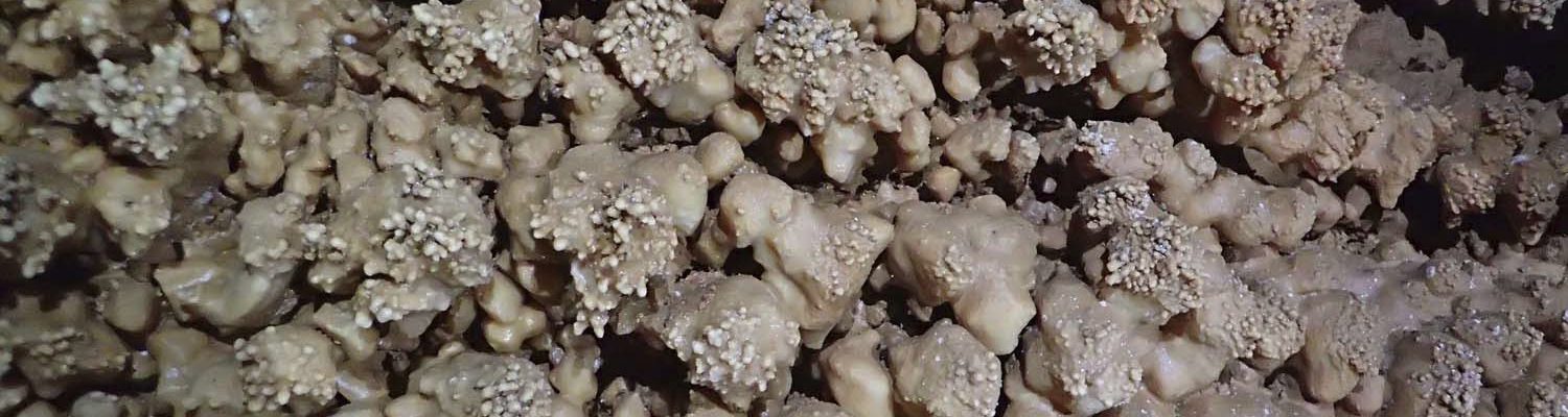 Artigo_Alecrineiros18