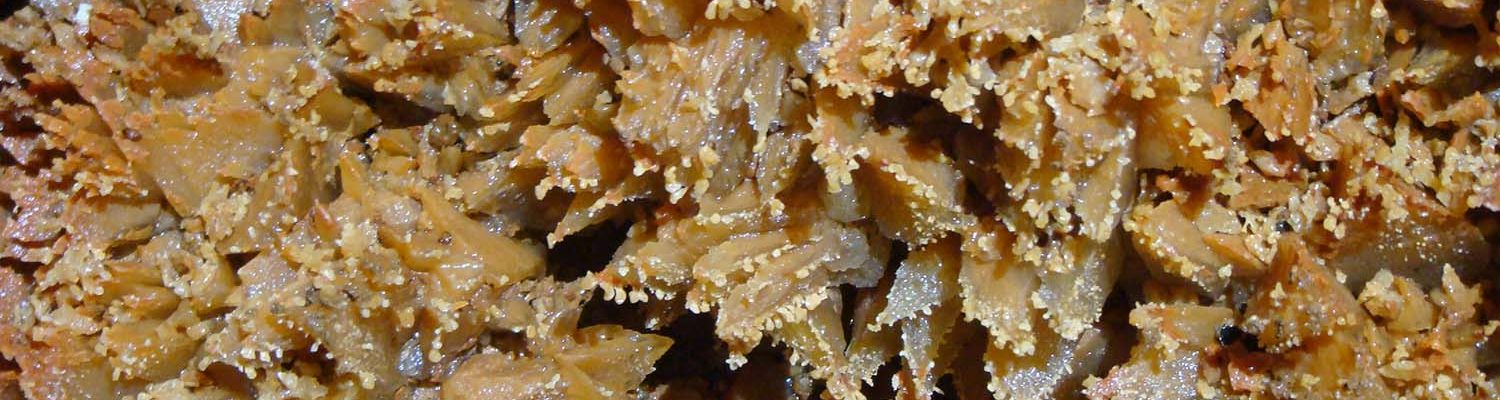 Artigo_Alecrineiros19