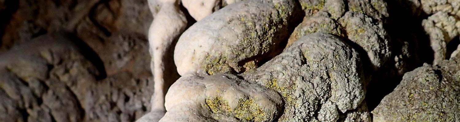 Artigo_Alecrineiros6