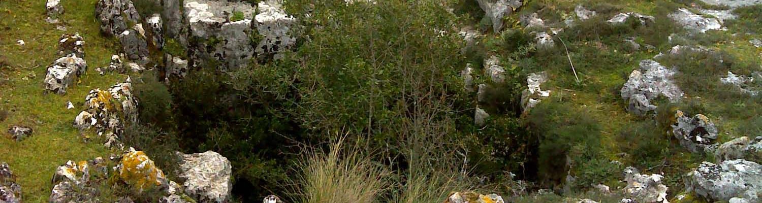 Artigo_Algar Casal Velho I