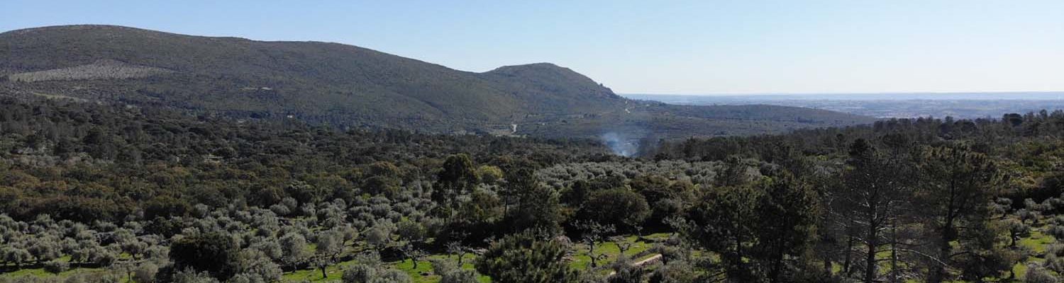 Artigo_Corredor Vale da Trave - Moitas Venda