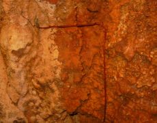 DSC01294