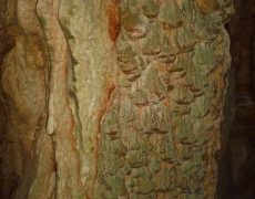 DSC01439