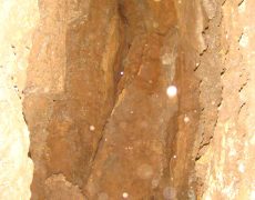 DSC05068