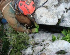 Figura 8 - Entrada do Algar Alecrineiros Nortinho (Foto: Jorge Faustino – GEM)