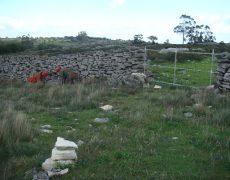 Figura 5 - Zona envolvente do Algar do Pneu (Foto: Jorge Faustino - GEM)
