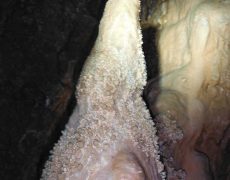 DSCF7327