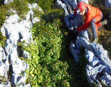 Figura 2 - Entrada do Algar Pena Traseira 2 ​(Foto: Sérgio Carvalho - GEM)