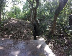 Figura 2 – Entrada Mina Ganso Patola