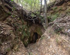 Figura 15 – Entrada da Mina Biorama