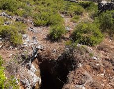 Figura 12 - Entrada do Algar do Penedo do Pico II (Foto: Rui Pina - GEM)