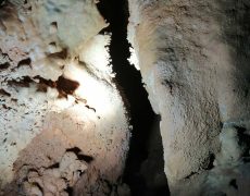 IMG_20200111_133735
