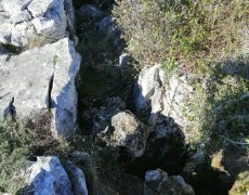 IMG_20200111_140222