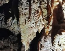 IMG_20200111_154503