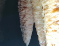 IMG_20200111_154551