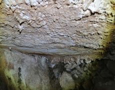 IMG_20200111_163830