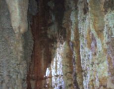 IMG_20200215_115616_0